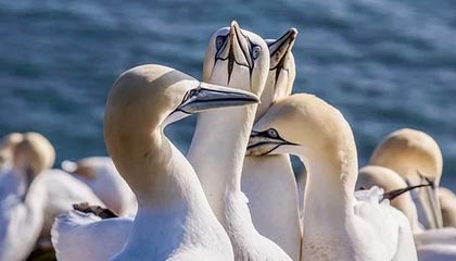 开云体育官网-揭幕战：济南vs淄博！2025齐鲁超赛即将开幕